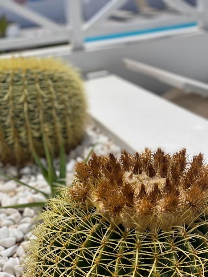 Flower Beach Deluxe Playa Honda  Luaran gambar